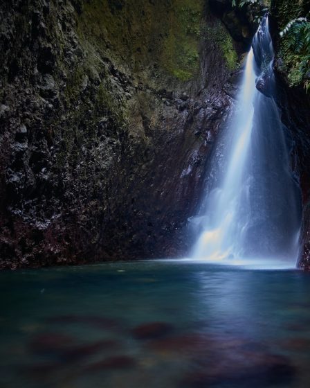 Les plus belles cascades en Guadeloupe