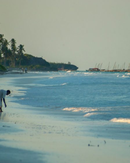 Des vacances au Zanzibar